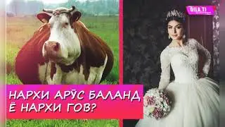 гову мола фурухтем зангирифтем 📢🎙📢🎙🎙🎙🎙🎙