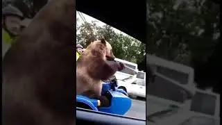 Vuuuy