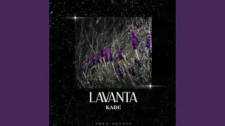 Lavanta