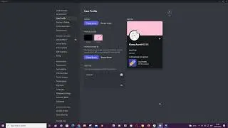 How To Edit User Profile On Discord Nitro