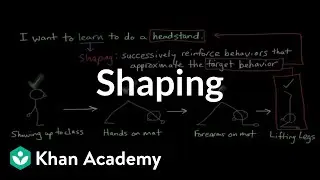 Operant conditioning: Shaping | Behavior | MCAT | Khan Academy