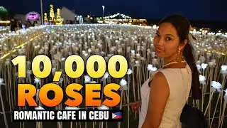 Most Romantic 10000 Roses Cafe in Cebu🌹 🌹 🌹 Where Dreams Blossom 🇵🇭