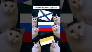 ИСТОРИЯ ДНЯ РОССИЙСКОГО ФЛАГА В МЕМАХ И КОТИКАХ 