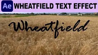 Create Wheatfield Text Animation in Adobe After Effects