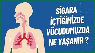 Sigara İçtiğimizde Vücudumuzda Neler Yaşanıyor?