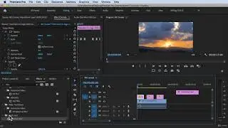 How to use Adjustment Layer#Adobe Premiere Pro Complete Video Editing Masterclass Udemy