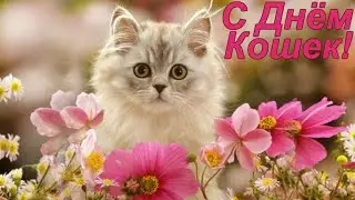 С Днём Кошек! Музыкальное поздравление.