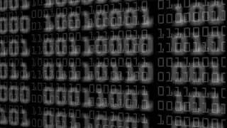 Binary Numbers Alpha Overlay  Loop | Loop Video | Worldwide 4k Videos