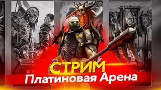 Стрим № 308  Капитан Пёсик Raid Shadow Legends