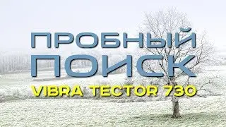 Пробный поиск! Vibra Tector 730. Зима не помеха. Коротаем время. Золотой Трофей!