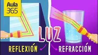 La Diferencia entre la Reflexión y Refracción de la Luz | Videos Educativos para Niños