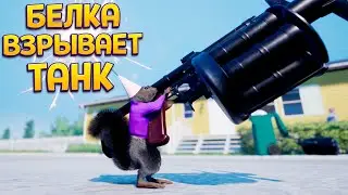 БЕЛКА В БУНКЕРЕ ВЗРЫВАЕТ ТАНК ( Squirrel with a Gun )