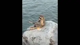 А ты открыл купальный сезон?⁠⁠