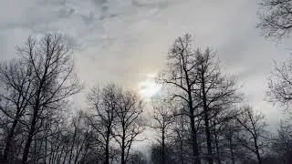 Добрый день
