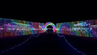 Christmas in Color 2023 - New Years Edition