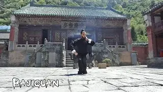 Bajiquan 八极拳