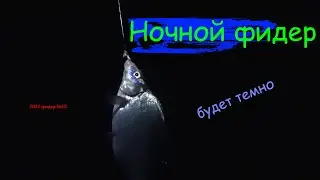 Ночной фидер №10 2022 | Kaida 