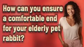 How can you ensure a comfortable end for your elderly pet rabbit?