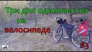 Три дня одиночества на велосипеде. День третий. Трутнево.