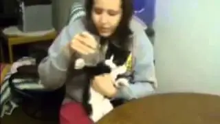 Kedilerin Sudaki Komik Halleri :)