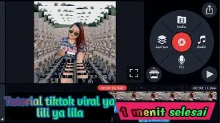 Tutorial tiktok viral ya lili ya lila 