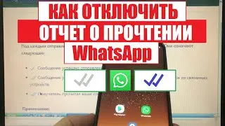 Как отключить отчет о прочтении WhatsApp