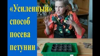 Эффективный способ посева петуний