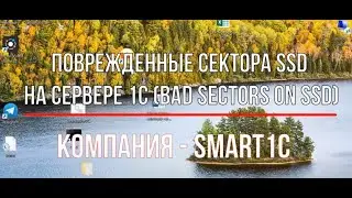 Битые сектора на SSD сервера 1C (bad sectors on ssd)