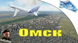 Microsoft Flight Simulator 2020 (Челябинск - Омск) |  Полковник