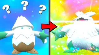 How to find Snover and Evolve it into Abomasnow in Pokemon Scarlet & Violet