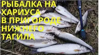ЛОВЛЯ ХАРИУСА НА МАЛОЙ РЕКЕ В ОКРЕСТНОСТЯХ НИЖНЕГО ТАГИЛА/РЫБАЛКА НА СПИННИНГ И УДОЧКУ/ОСЕНЬ 2020.
