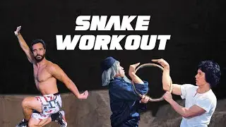 Snake in the Eagle Shadow WORKOUT