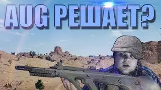 AUG WINS?