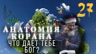 Хасан Али. Что даёт тебе Бог. Анатомия Корана #27 ислам!