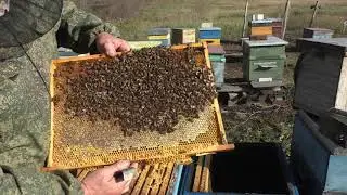 Рискованная сборка гнезда и тоннель для зимнего клуба.