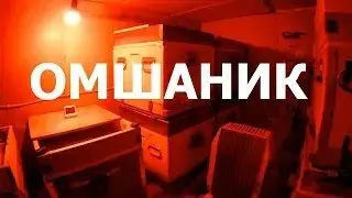 Зимовка пчел в омшанике. сезон 2020 - 2021