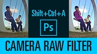 Photoshop Camera Raw Filter