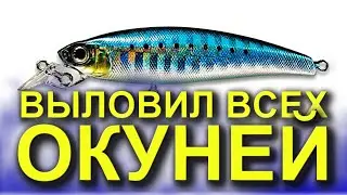 ВОБЛЕР НА ОКУНЯ ЛЕТОМ НА ОЗЕРЕ! РЫБАЛКА НА СПИННИНГ. ОКУНЬ НА ВОБЛЕР ВИДЕО