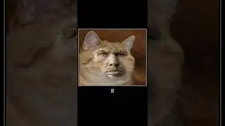 максим ты офигел? 