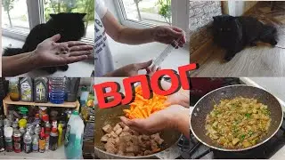 Влог/Что творится в нашем гараже/Приехали к коту Мишке/Вкуснейшие баклажаны со сметаной@SubTatiana