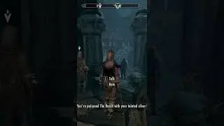 Why you never stand in large groups in Skyrim | Skyrim Gameplay Highlights