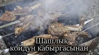 Шашлык  койдун кабыргасынан