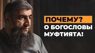 Почему, о богословы муфтията?