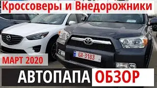 АВТОПАПА. Обзор КРОССОВЕРОВ и ВНЕДОРОЖНИКОВ