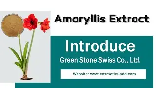 Amaryllis Extract