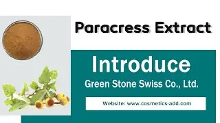 Factory Supply  Paracress Extract, Spilanthes Acmella Extract Suppliers