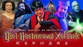 ЦВЕТ НАСТРОЕНИЯ ХОГВАРТС | Пародия на Цвет Настроения Черный (feat. Павло Зибров)