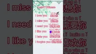 Learn basic Chinese for beginners. I love you. I miss you. I need you. I like you. I hate you.