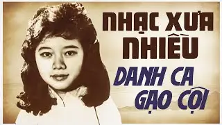 Nhiều Danh Ca Hội Tụ Trong Liên Khúc Nhạc Xưa 1975 Bất Hủ Này - Nhạc Vàng Hải Ngoại Hay Nhất 2024