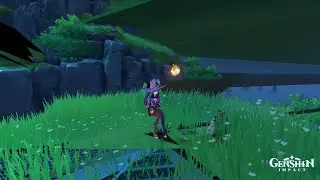Genshin stretched texture bug(?)